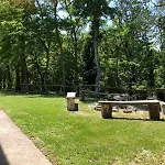 Per Famiglie Montepolo Canavaccio di Urbino